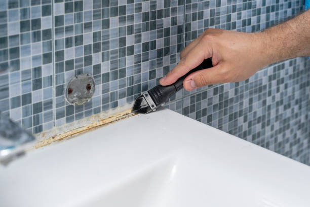 Best Same-Day Mold Removal  in Southeast Arcadia, FL