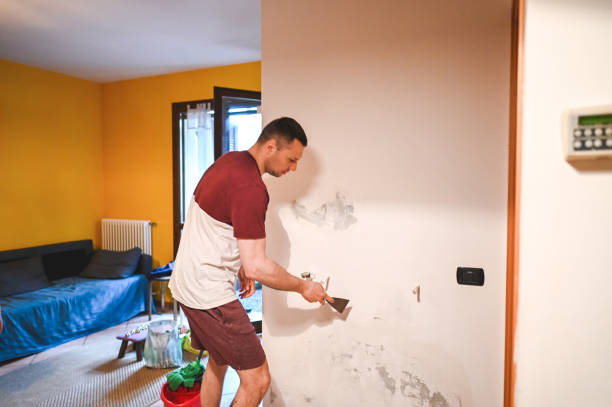 Mold Removal Process in Southeast Arcadia, FL